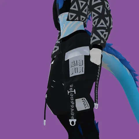 Techwear pants